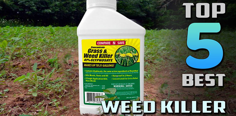 Top 5 Product Review: Weed Killers